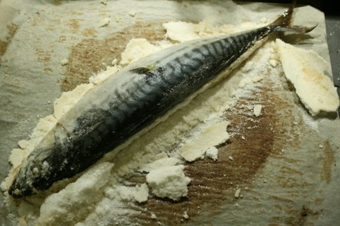 Mackerel baked in salt