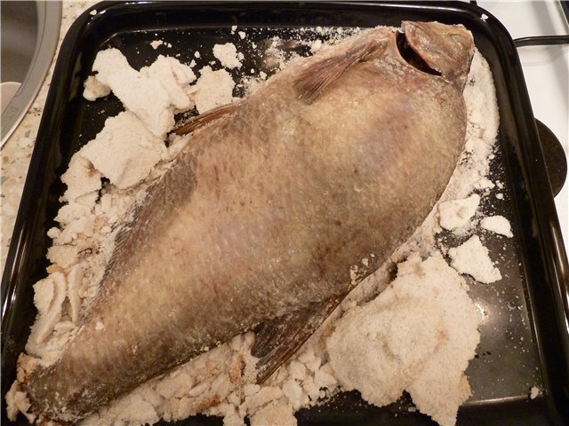 Mackerel baked in salt