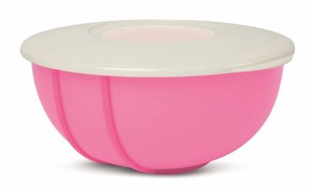 Đĩa nhựa Tupperware - đánh giá