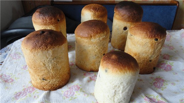 Kulich ar Myasoedovskaya krāsnī (meistarklase)