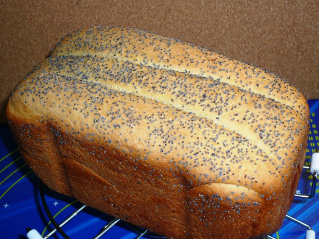 Bread Accordion (kneading in a bread maker)