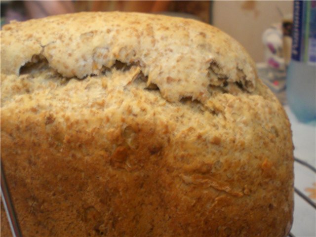 Gray bread on light beer in a bread maker