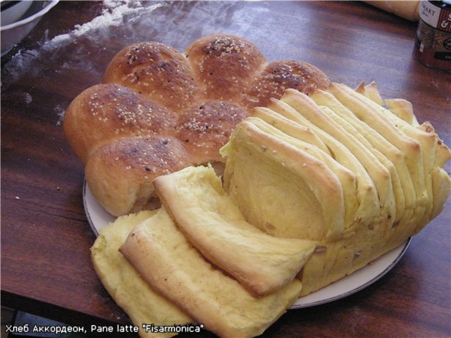 לחם איטלקי Pane al latte Fisarmonica בתנור