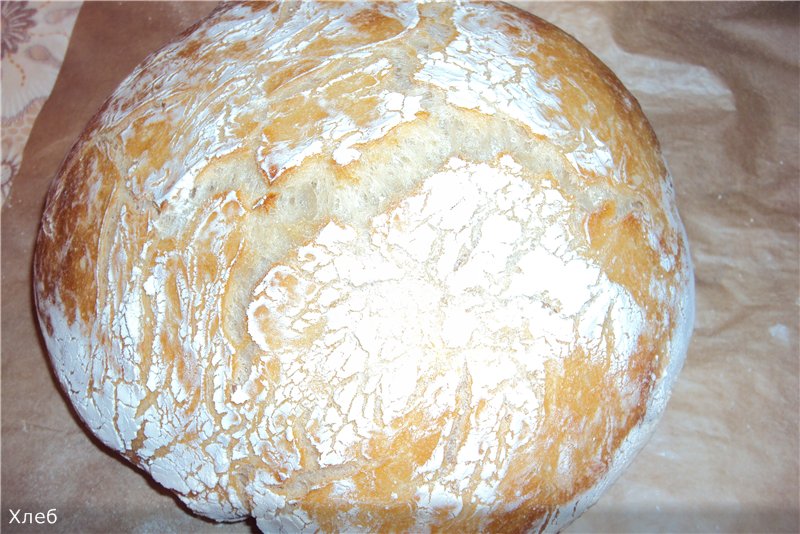 Ciabatta (without batch)