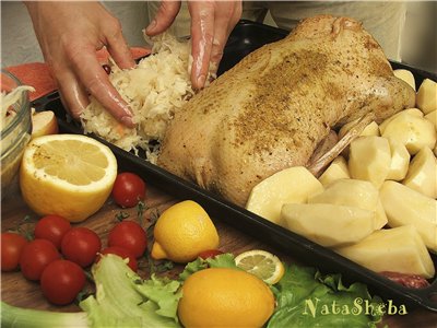 Goose stuffed with apples and baked whole from the movie Ognivo