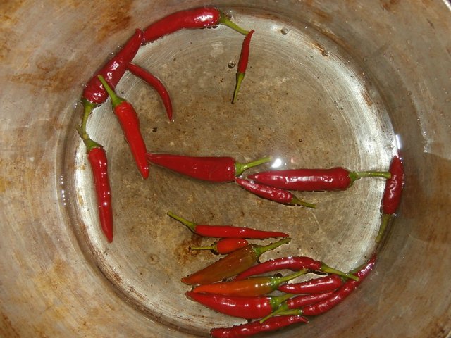 Paprika