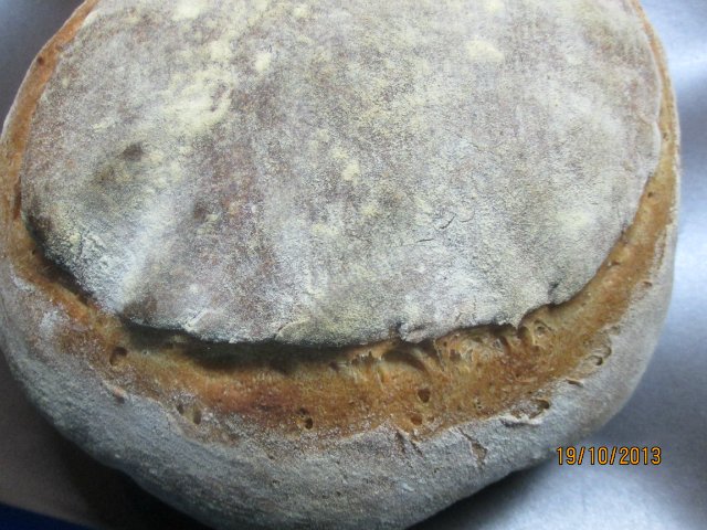 Landlig stilbrød / Pain de campagne (ovn)