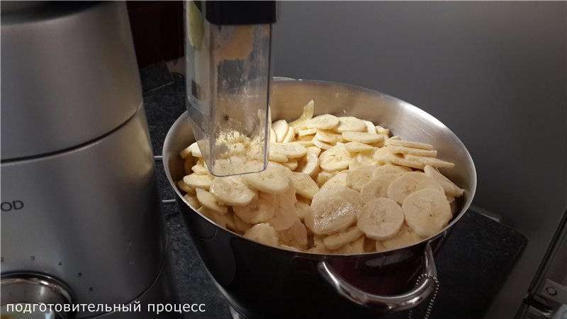 Ezidri Snackmaker elektriskā žāvētājs