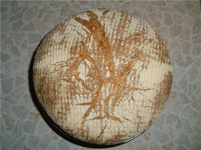 Maize Como (Pane di Como) krāsnī (nejaukt ar Pane di Come Antico)