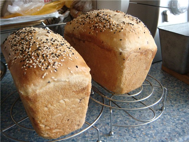 לחם מחמצת בתנור