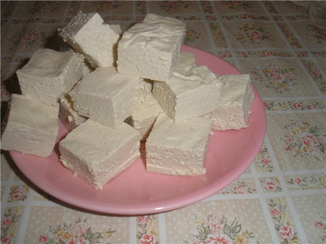 Tofu - bønnekjøtt