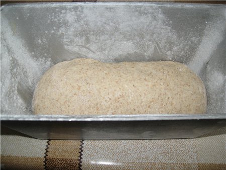 Pilngraudu maize ar saldskābi (krāsnī)