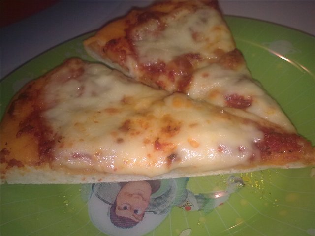 Pizzaovn