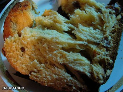 Calvel panettone