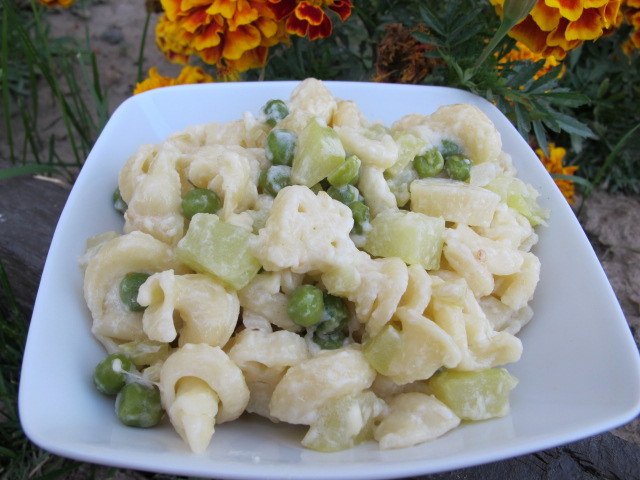 Pasta with zucchini