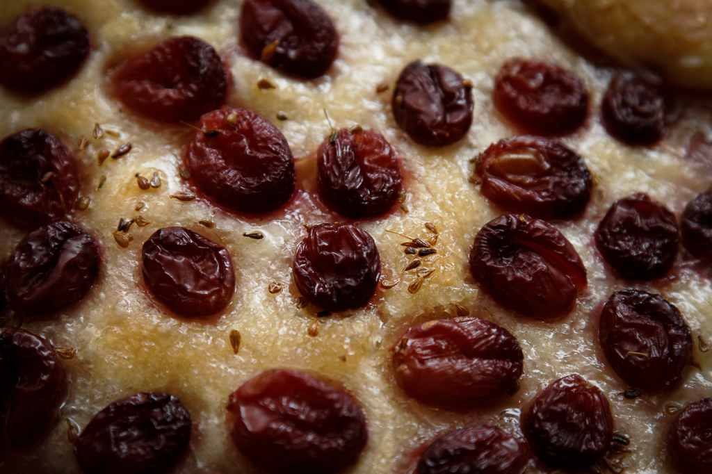 Schiacciata con l'uva (לחם עם ענבים) / Schiacciata con l'uva (תנור)