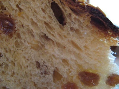 Calvel panettone