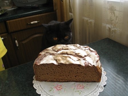 Custard rugbrød er ekte (nesten glemt smak). Stekemetoder og tilsetningsstoffer