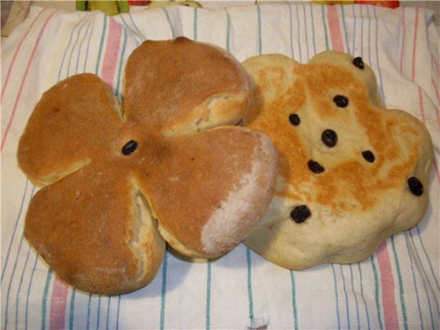 Maize spiediena katlā (tehnoloģija)