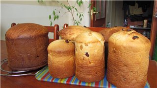 Kulich ar Myasoedovskaya krāsnī (meistarklase)