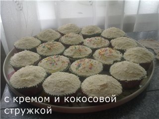 Elektriske cupcakes Ves elektriske V-TO-3 / V-TO-4