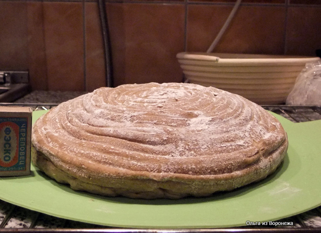 Zemnieciska kviešu maize (Pane Bigio) krāsnī