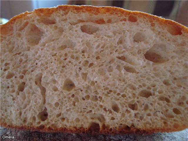 Ciabatta (without batch)