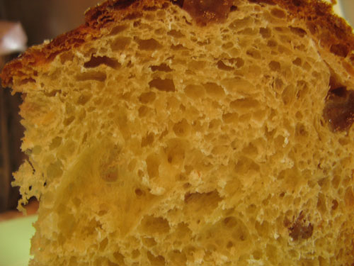 Calvel panettone