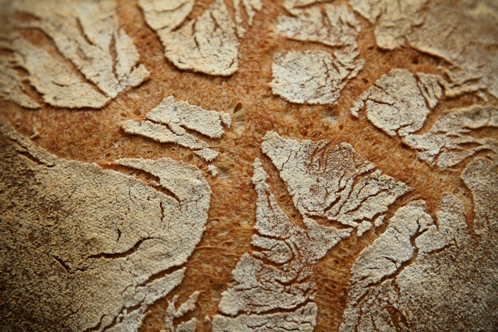 לחם קומו (Pane di Como) בתנור (לא להתבלבל עם Pane di Come Antico)