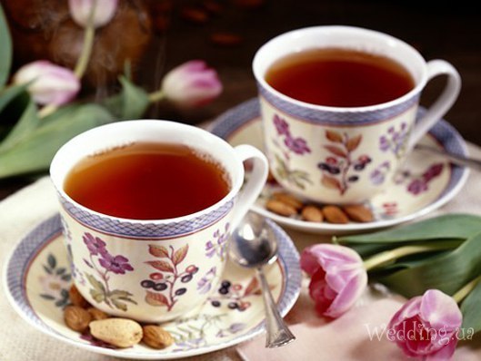 Fermented tea made from leaves of garden and wild plants (master class)