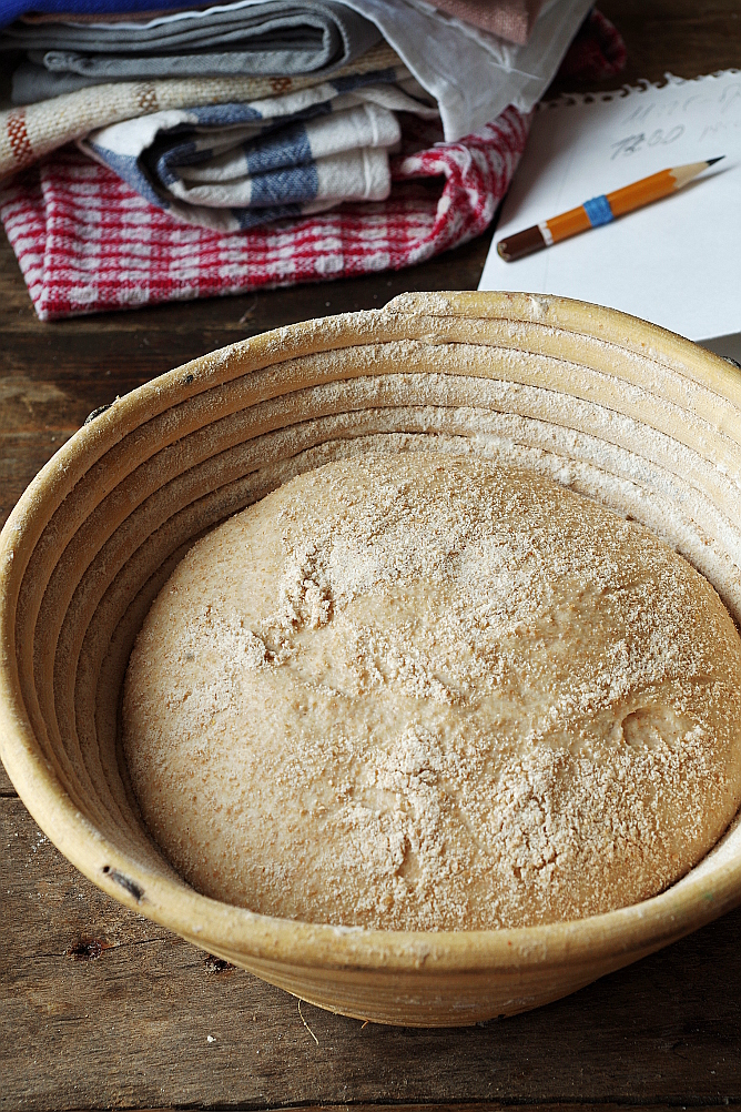 Gjær Biga og Sourdough Biga