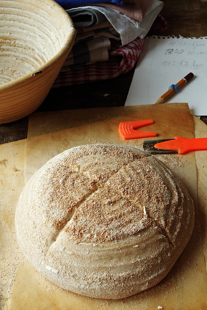 Gjær Biga og Sourdough Biga