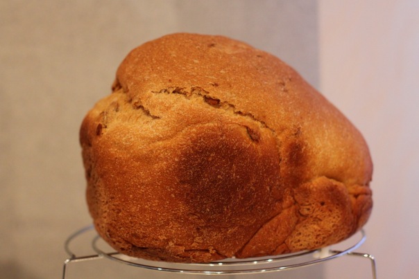 Oat-corn bread (bread maker)