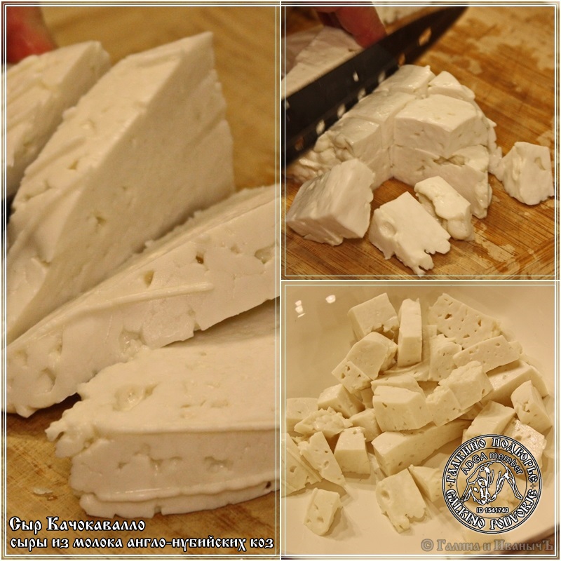 Cachocavallo cheese from Anglo-Nubian goat milk