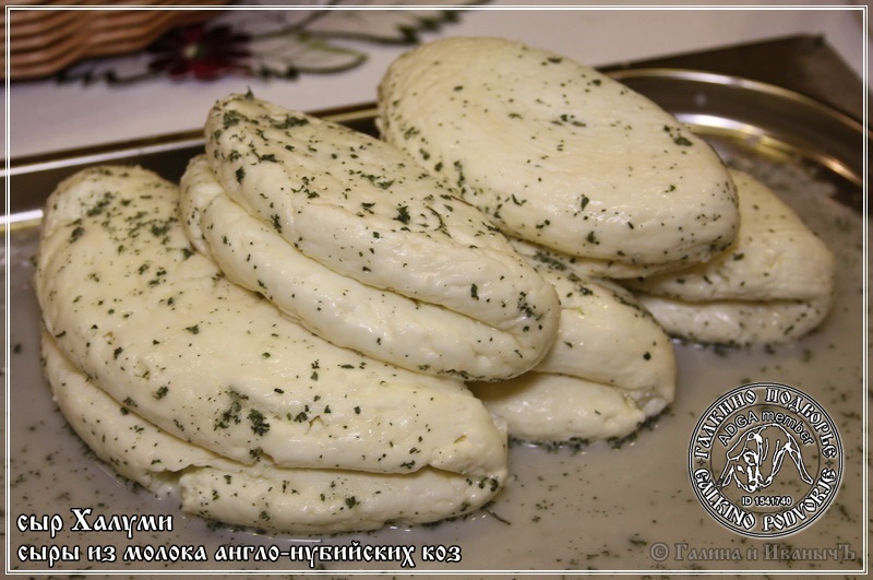 Halloumi un Anari siers no anglo-nūbiešu kazas piena