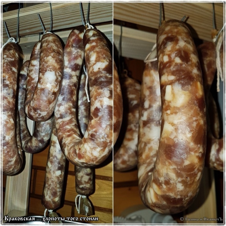 Krakow sausage (well worth it)