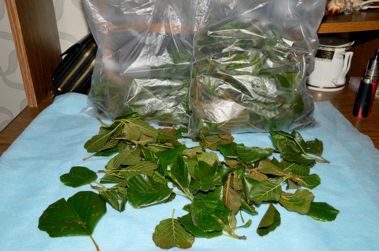 Fermented tea made from leaves of garden and wild plants (master class)