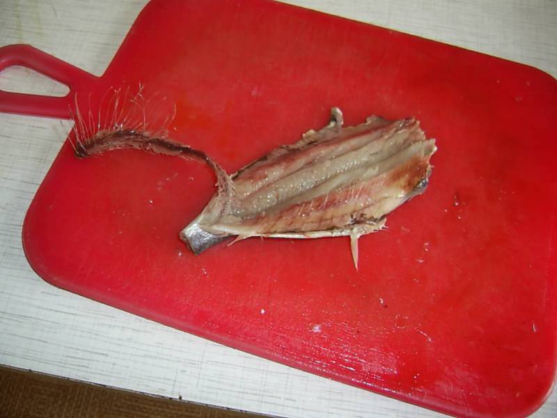 Capelin in batter