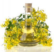 The benefits and harms of oils (vegetable and animal)