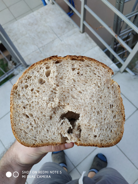 Italian sourdough (Levito madre) - cultivation and care